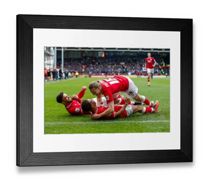 Framed Print : Bristol City's Bobby Reid Scores the Second Goal Against Sheffield Wednesday, Making it 2-0 at Ashton Gate Stadium (April 9, 2016) Framed Print : Bristol City's Bobby Reid Scores the Second Goal Against Sheffield Wednesday, Making it 2-0 at Ashton Gate Stadium (April 9, 2016)