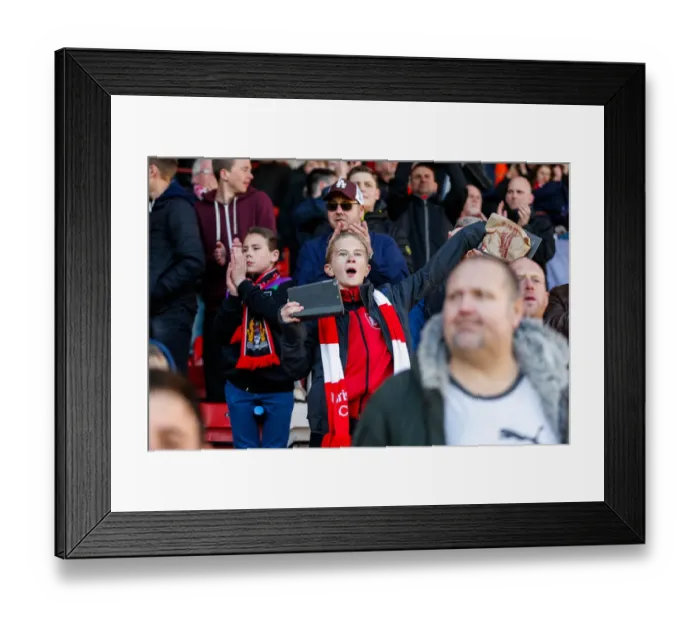 Framed Print : Bristol City's Euphoric 4-1 Victory at Ashton Gate Framed Print : Bristol City's Euphoric 4-1 Victory at Ashton Gate