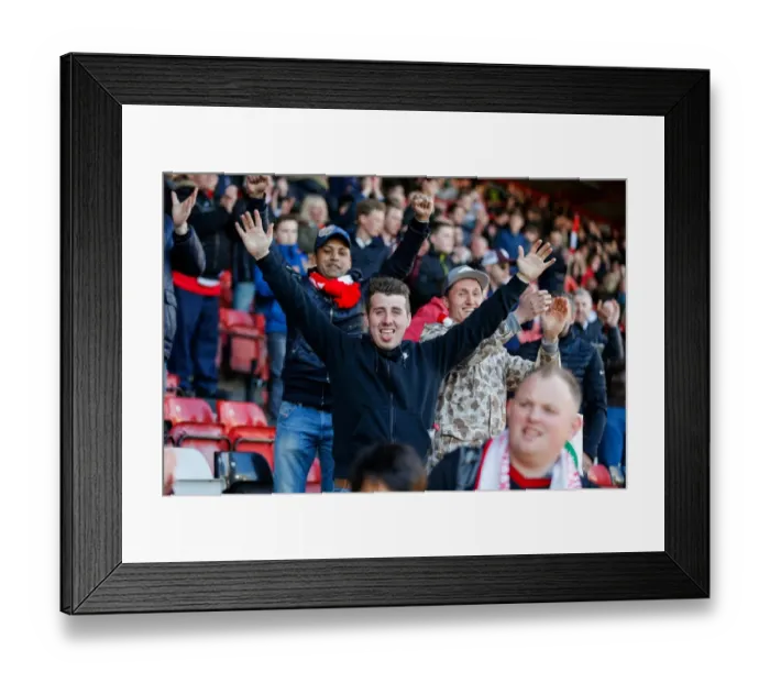 Framed Print : Bristol City's Thrilling 4-1 Victory Over Sheffield Wednesday: A Sea of Euphoric Fans at Ashton Gate Framed Print : Bristol City's Thrilling 4-1 Victory Over Sheffield Wednesday: A Sea of Euphoric Fans at Ashton Gate