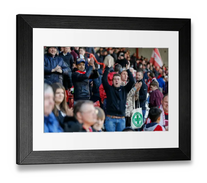 Framed Print : Bristol City's Euphoric 4-1 Victory Over Sheffield Wednesday at Ashton Gate