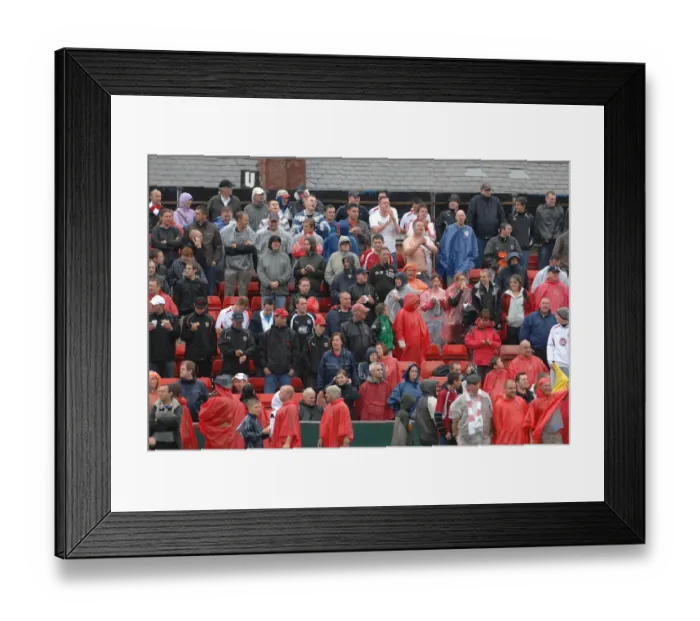 Framed Print : Fans2 Framed Print : Fans2