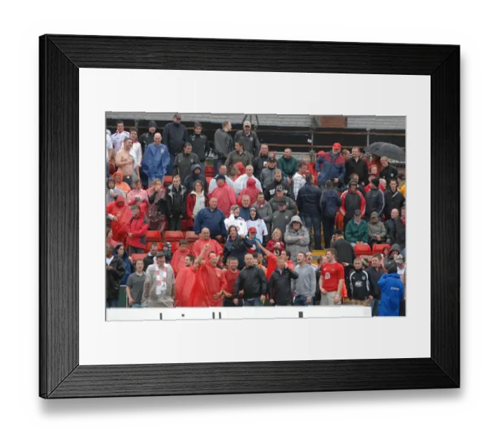 Framed Print : fans4 Framed Print : fans4