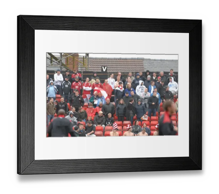 Framed Print : Fans7 Framed Print : Fans7