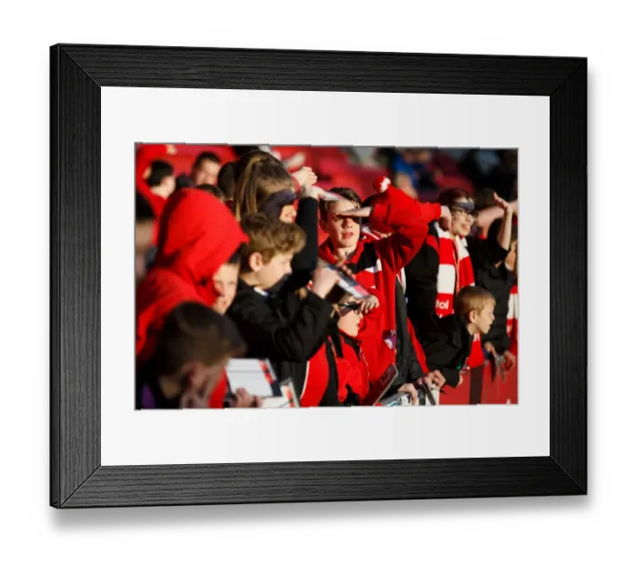 Framed Print : Bristol City Fans Soak Up Sunshine Before Derby County Showdown at Ashton Gate, 2016 Framed Print : Bristol City Fans Soak Up Sunshine Before Derby County Showdown at Ashton Gate, 2016