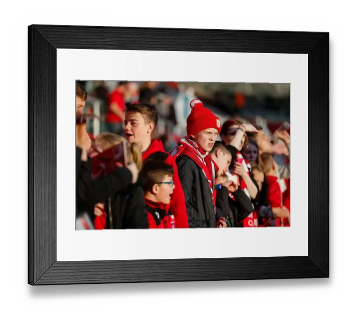 Framed Print : Bristol City Fans Soak Up Sunshine Before Derby County Showdown at Ashton Gate, 2016 Framed Print : Bristol City Fans Soak Up Sunshine Before Derby County Showdown at Ashton Gate, 2016