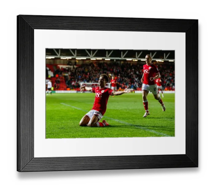 Framed Print : Bobby Reid's Goal: 2-1 in Favor of Bristol City vs Derby County (2016) Framed Print : Bobby Reid's Goal: 2-1 in Favor of Bristol City vs Derby County (2016)