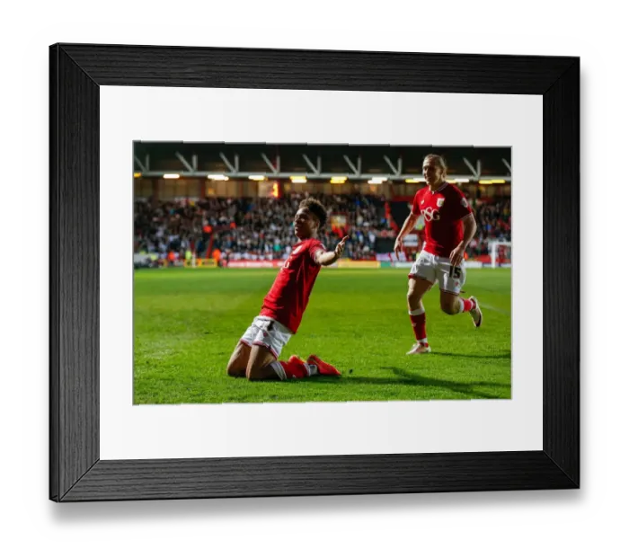 Framed Print : Bobby Reid's Stunner: Bristol City Takes 2-1 Lead Over Derby County (Sky Bet Championship, 2016) Framed Print : Bobby Reid's Stunner: Bristol City Takes 2-1 Lead Over Derby County (Sky Bet Championship, 2016)