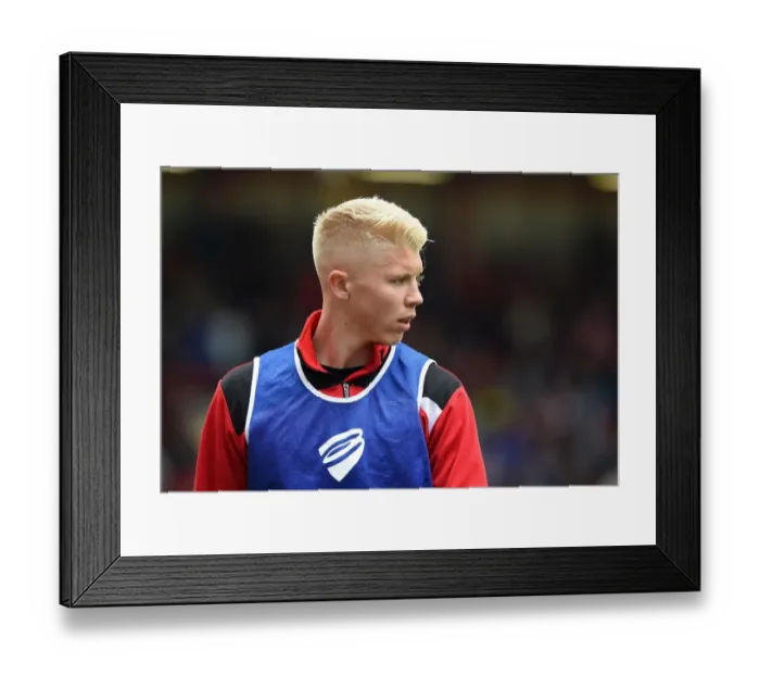 Framed Print : George Dowling in Action: Bristol City vs Huddersfield Town, 2016 Framed Print : George Dowling in Action: Bristol City vs Huddersfield Town, 2016