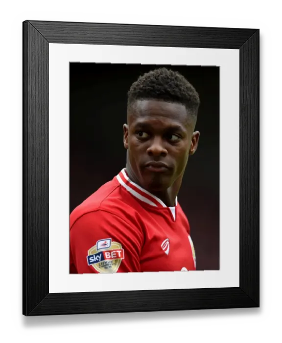 Framed Print : Thrilling Kieran Agard Goal: Bristol City vs Huddersfield Town, Sky Bet Championship (30 April 2016) Framed Print : Thrilling Kieran Agard Goal: Bristol City vs Huddersfield Town, Sky Bet Championship (30 April 2016)
