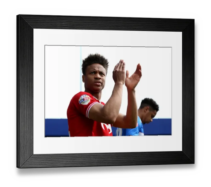 Framed Print : Bobby Reid of Bristol City in Action Against Queens Park Rangers, May 2016