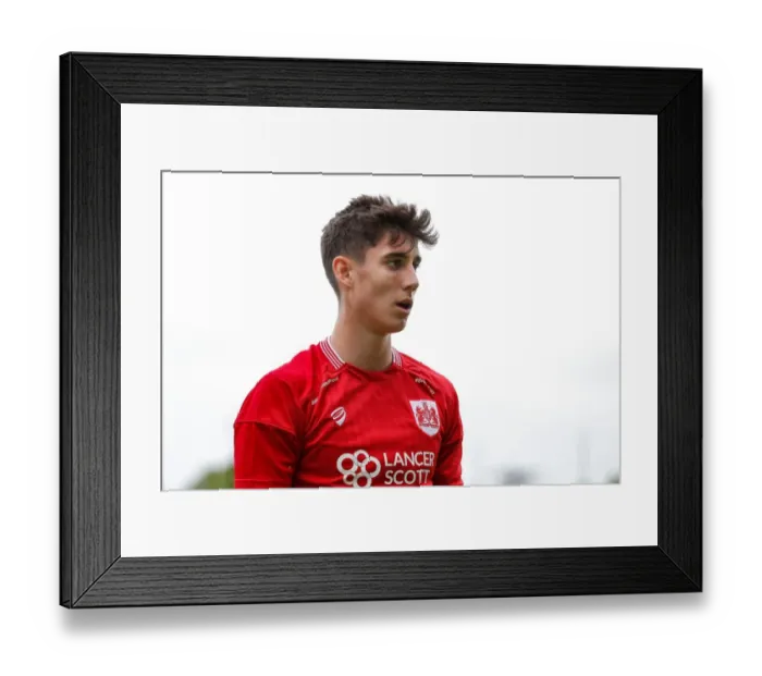 Framed Print : Bristol City's New Signing Callum O'Dowda Watches Pre-Season Match Against Yeovil Town Framed Print : Bristol City's New Signing Callum O'Dowda Watches Pre-Season Match Against Yeovil Town