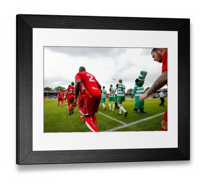 Framed Print : Bristol City and Yeovil Town Players Emerge from Tunnel at Huish Park, 2016 Framed Print : Bristol City and Yeovil Town Players Emerge from Tunnel at Huish Park, 2016
