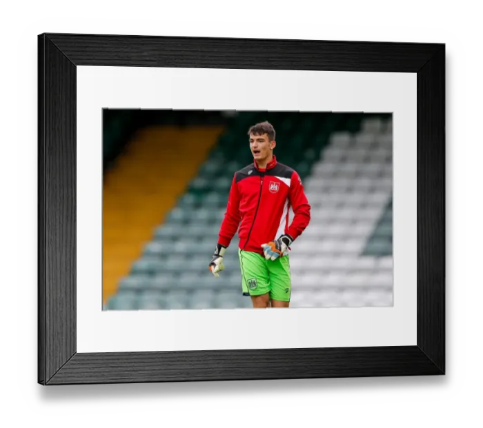 Framed Print : Yeovil Town v Bristol City 160716 Framed Print : Yeovil Town v Bristol City 160716