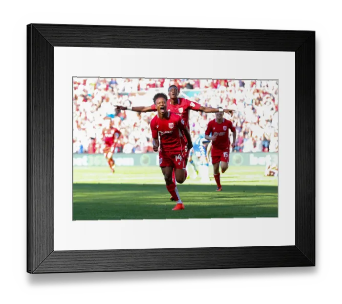 Framed Print : Bobby Reid's Stunner: 2-1 Lead for Bristol City over Wigan Athletic (Sky Bet EFL Championship, 2016) Framed Print : Bobby Reid's Stunner: 2-1 Lead for Bristol City over Wigan Athletic (Sky Bet EFL Championship, 2016)