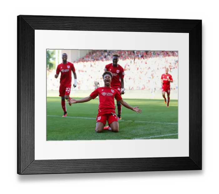 Framed Print : Bobby Reid's Goal: 2-1 for Bristol City vs. Wigan Athletic, Sky Bet EFL Championship (Ashton Gate Stadium, 2016) Framed Print : Bobby Reid's Goal: 2-1 for Bristol City vs. Wigan Athletic, Sky Bet EFL Championship (Ashton Gate Stadium, 2016)