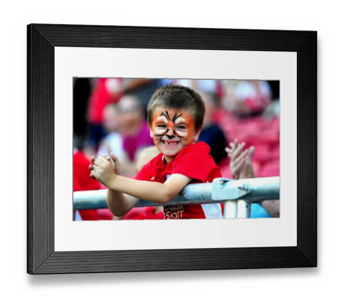 Framed Print : Bristol City Fans Celebrate in New West Stand during Sky Bet Championship Match against Wigan Athletic