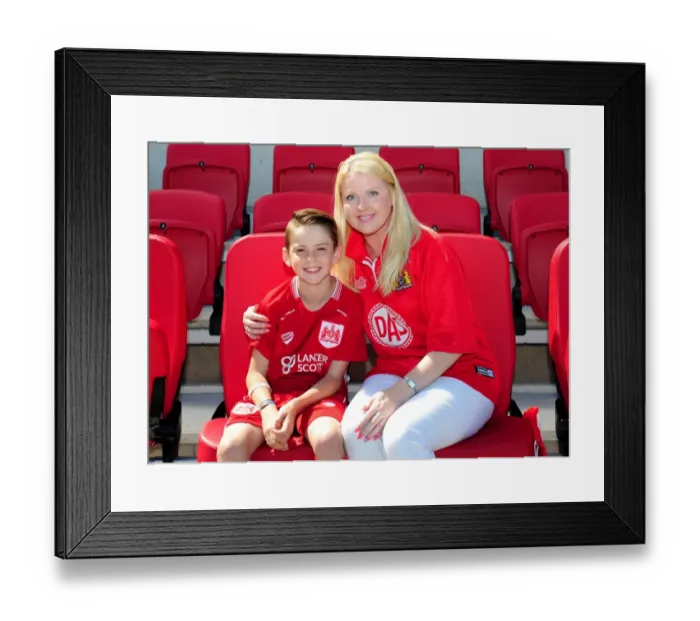 Framed Print : Bristol City Mascots on the Dugout during Sky Bet Championship Match Framed Print : Bristol City Mascots on the Dugout during Sky Bet Championship Match