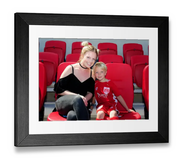Framed Print : Bristol City Football Club: Mascots on the Dugout during Bristol City vs. Wigan Athletic, Ashton Gate, 2016 Framed Print : Bristol City Football Club: Mascots on the Dugout during Bristol City vs. Wigan Athletic, Ashton Gate, 2016
