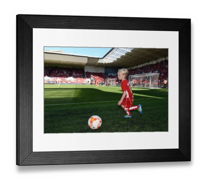 Framed Print : Bristol City vs Wigan Athletic: Clash at Ashton Gate - Sky Bet Championship (August 2016) Framed Print : Bristol City vs Wigan Athletic: Clash at Ashton Gate - Sky Bet Championship (August 2016)