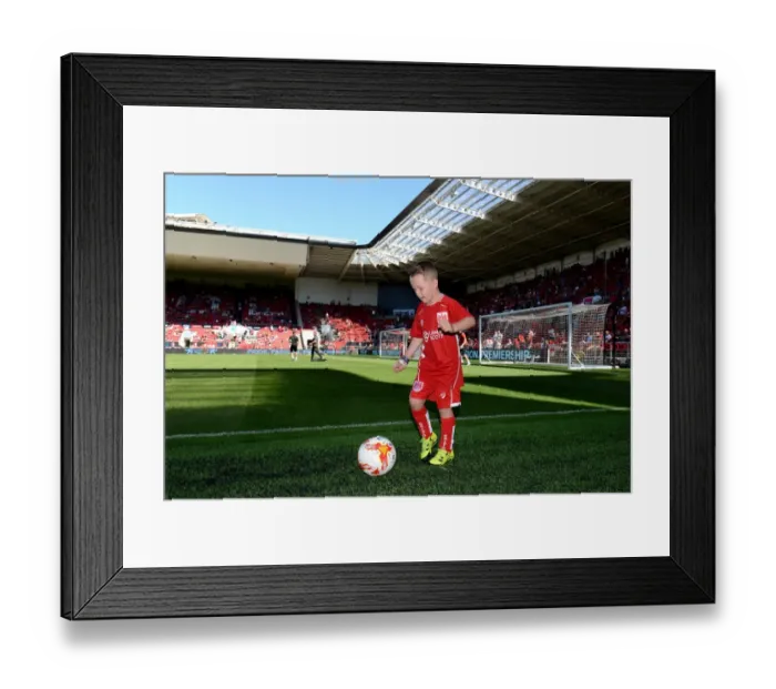 Framed Print : Bristol City vs Wigan Athletic: Clash at Ashton Gate - Sky Bet Championship (August 2016)