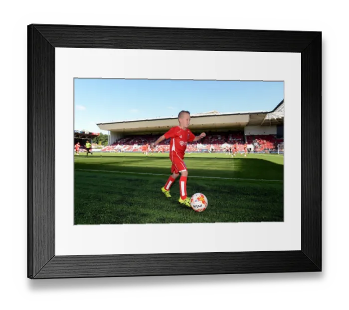 Framed Print : Bristol City vs Wigan Athletic: Clash at Ashton Gate, Sky Bet Championship (August 2016)