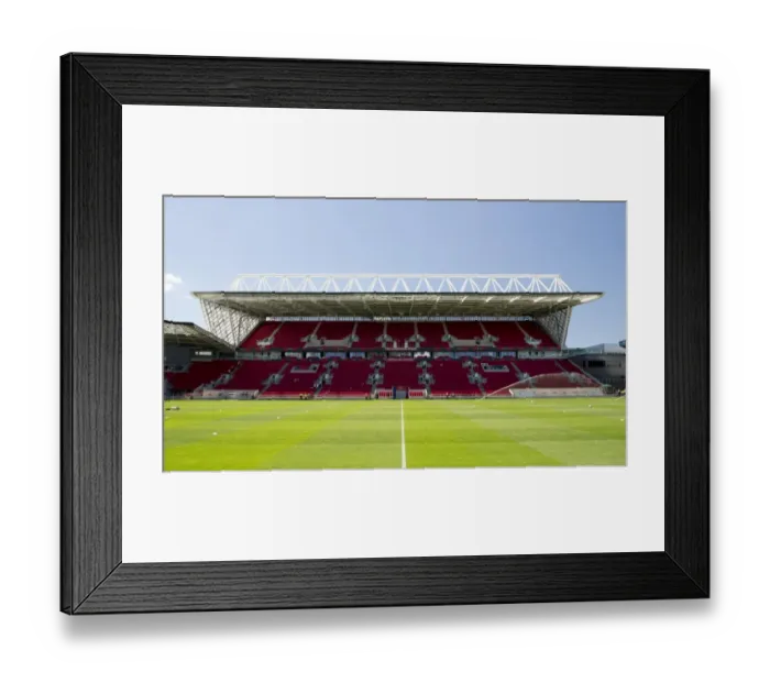 Framed Print : Bristol City v Wigan Athletic 060816 Framed Print : Bristol City v Wigan Athletic 060816