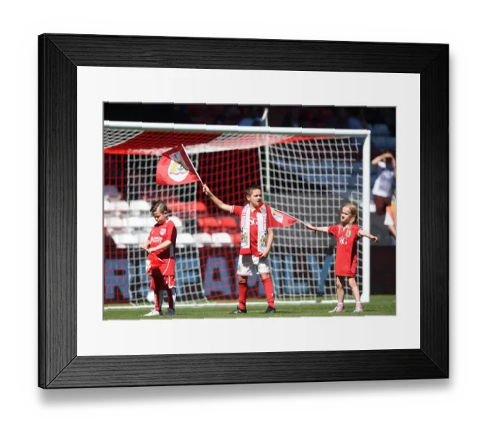 Framed Print : Flag Bearers at Ashton Gate: Bristol City vs. Wigan Athletic, Sky Bet Championship (August 2016)