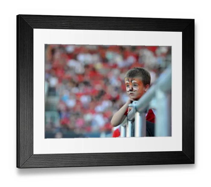 Framed Print : Young Bristol City Fan's Excitement at Ashton Gate during Bristol City vs Wigan Athletic Match, Sky Bet Championship Framed Print : Young Bristol City Fan's Excitement at Ashton Gate during Bristol City vs Wigan Athletic Match, Sky Bet Championship