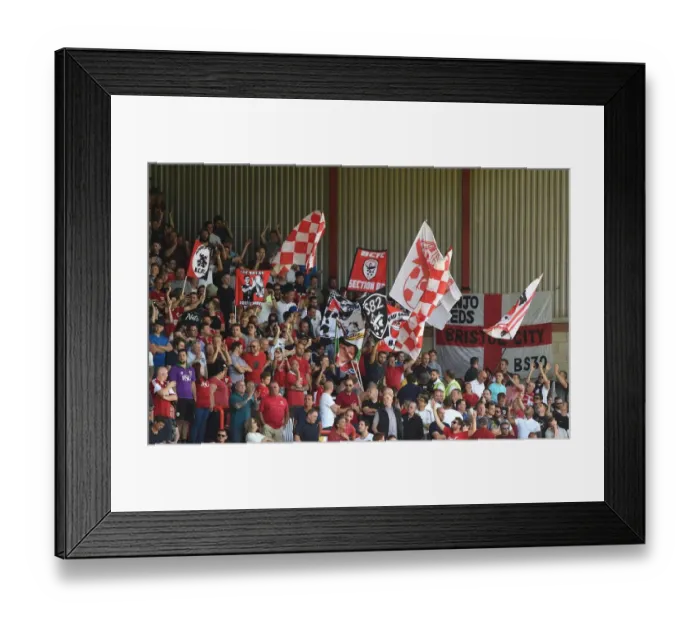 Framed Print : Flags in the Atyeo Stand: Bristol City vs Wigan Athletic, Ashton Gate, 2016