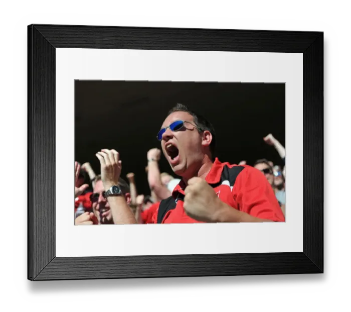 Framed Print : Bristol City Fans Euphoria: Celebrating the Second Goal Against Wigan Athletic