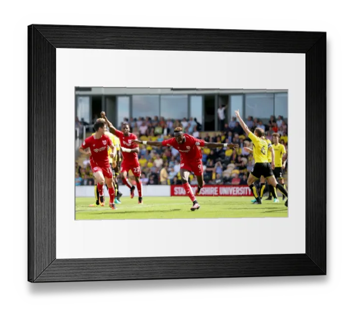 Framed Print : Tammy Abraham's Thrilling Goal Celebration: Burton Albion vs. Bristol City (Sky Bet Championship, 2016)