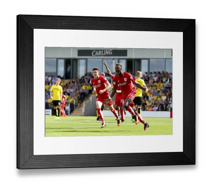 Framed Print : Tammy Abraham's Thrilling Goal Celebration: Burton Albion vs. Bristol City (Sky Bet Championship, 2016) Framed Print : Tammy Abraham's Thrilling Goal Celebration: Burton Albion vs. Bristol City (Sky Bet Championship, 2016)