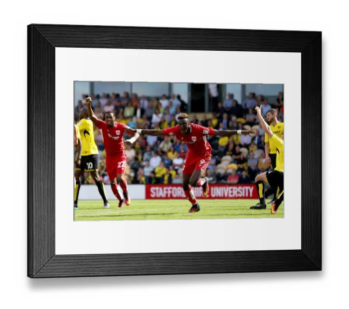 Framed Print : Tammy Abraham's Euphoric Goal: Burton Albion vs. Bristol City, Sky Bet Championship (August 13, 2016)