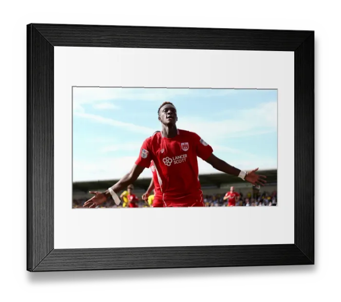 Framed Print : Tammy Abraham's Late Winner: Burton Albion vs. Bristol City, Sky Bet Championship (13 August 2016) Framed Print : Tammy Abraham's Late Winner: Burton Albion vs. Bristol City, Sky Bet Championship (13 August 2016)