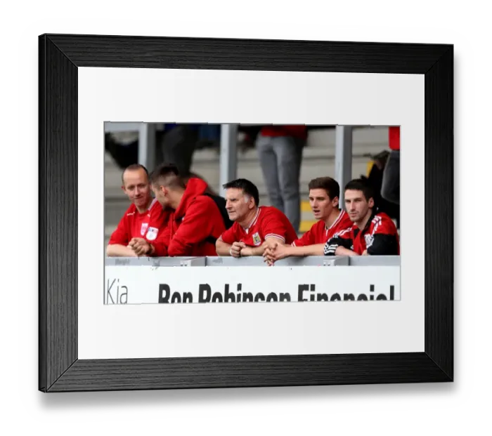 Framed Print : Bristol City Fans in Action at Pirelli Stadium during Sky Bet Championship Match