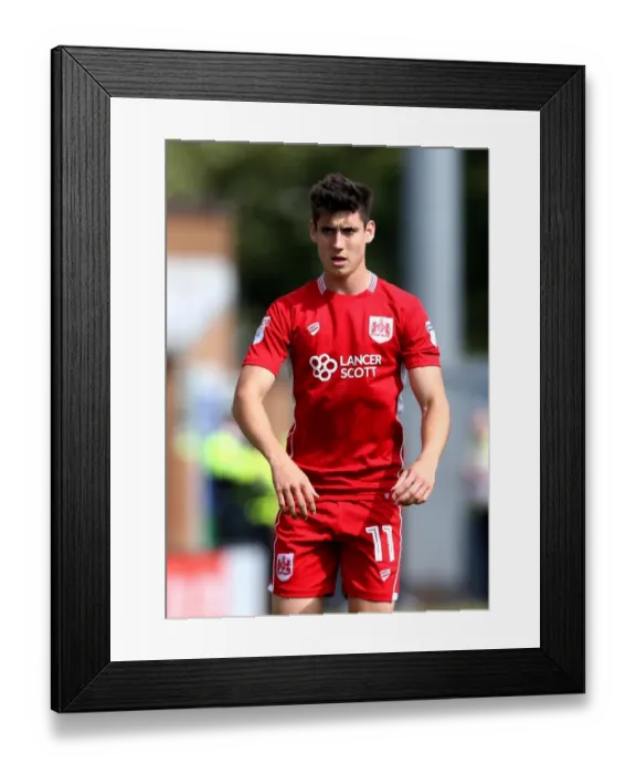 Framed Print : Callum O'Dowda in Action: Burton Albion vs. Bristol City, Sky Bet Championship 2016