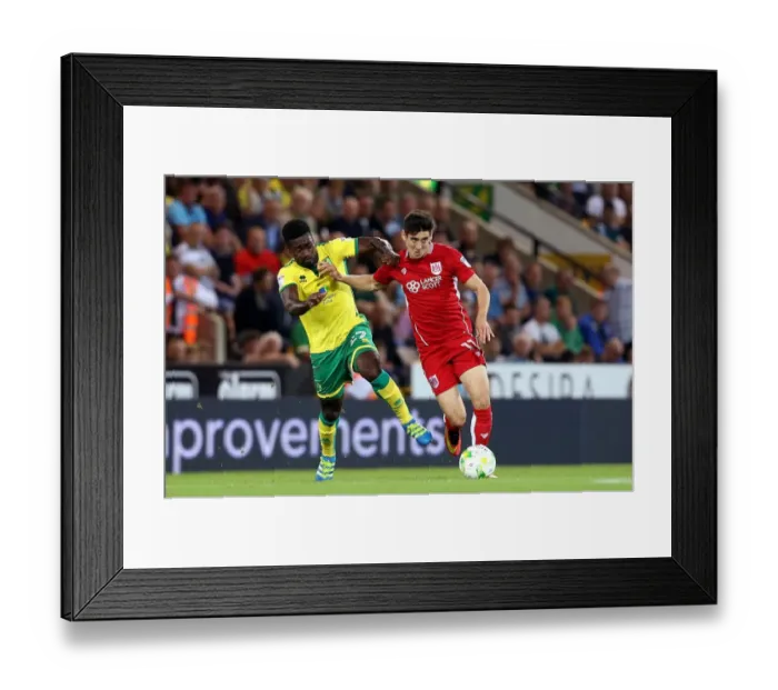 Framed Print : Bristol City's Callum O'Dowda Outruns Norwich City's Alexander Tettey during Sky Bet Championship Match Framed Print : Bristol City's Callum O'Dowda Outruns Norwich City's Alexander Tettey during Sky Bet Championship Match