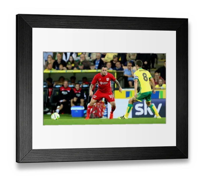 Framed Print : Bristol City's Lee Tomlin in Action Against Norwich City, Sky Bet Championship 2016 Framed Print : Bristol City's Lee Tomlin in Action Against Norwich City, Sky Bet Championship 2016