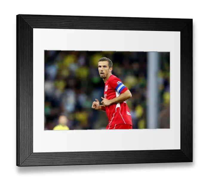 Framed Print : Gary O'Neil Leads Bristol City Charge Against Norwich City, Sky Bet Championship 2016