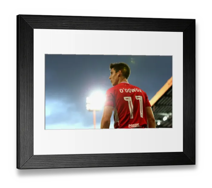 Framed Print : Bristol City's Callum O'Dowda in Action Against Norwich City, Sky Bet Championship 2016 Framed Print : Bristol City's Callum O'Dowda in Action Against Norwich City, Sky Bet Championship 2016