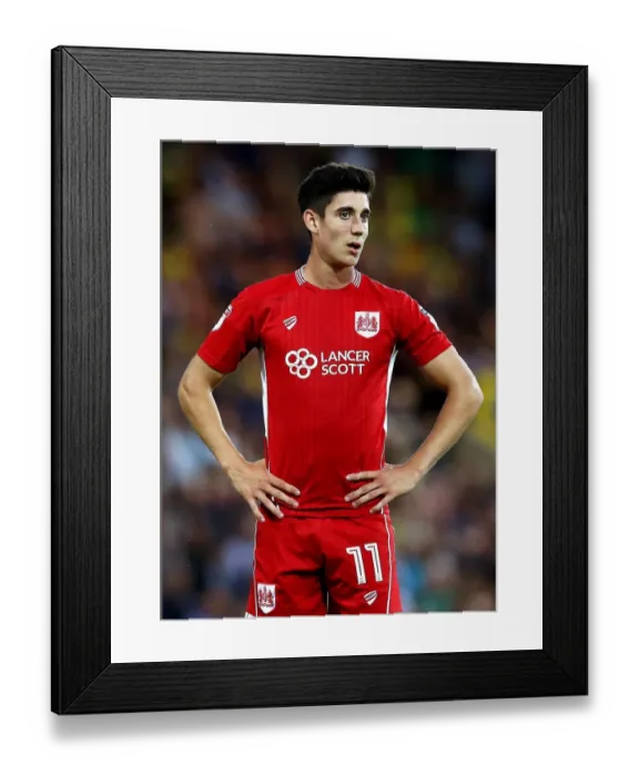 Framed Print : Callum O'Dowda in Action: Norwich City vs. Bristol City, Sky Bet Championship 2016 Framed Print : Callum O'Dowda in Action: Norwich City vs. Bristol City, Sky Bet Championship 2016