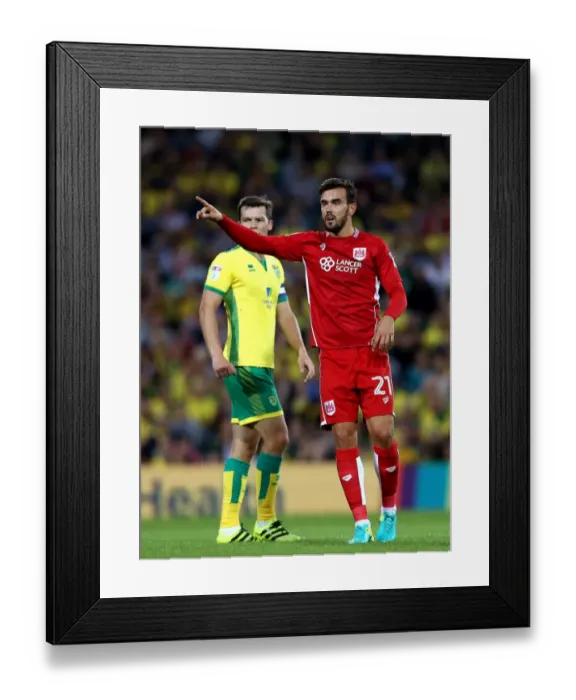 Framed Print : Marlon Pack in Action: Norwich City vs. Bristol City, Sky Bet Championship 2016 Framed Print : Marlon Pack in Action: Norwich City vs. Bristol City, Sky Bet Championship 2016
