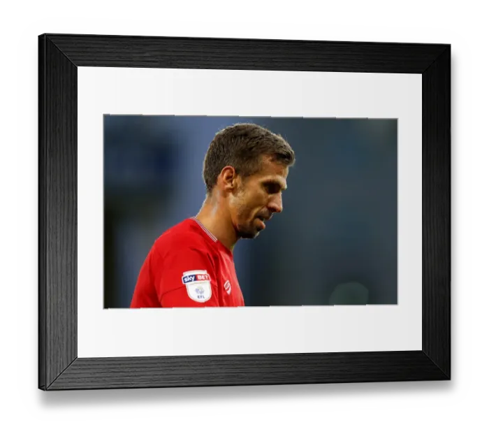Framed Print : Gary O'Neil Rallies Bristol City Against Norwich City in Sky Bet Championship Clash