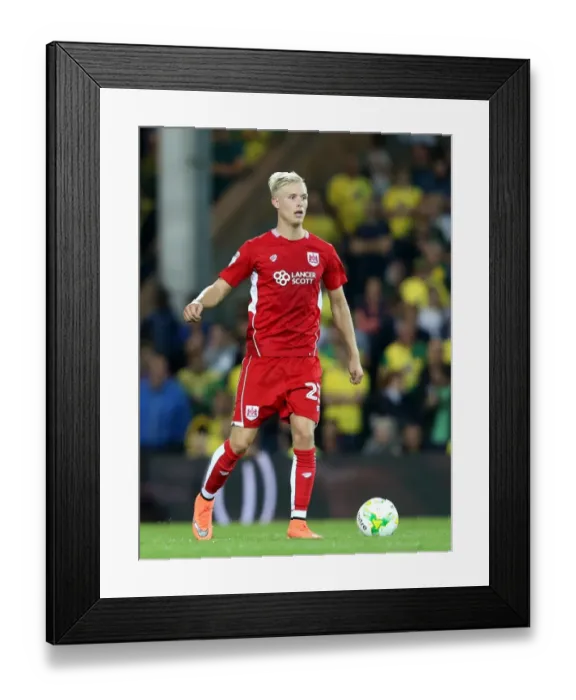 Framed Print : Hordur Magnusson of Bristol City in Action Against Norwich City, Sky Bet Championship, 2016 Framed Print : Hordur Magnusson of Bristol City in Action Against Norwich City, Sky Bet Championship, 2016