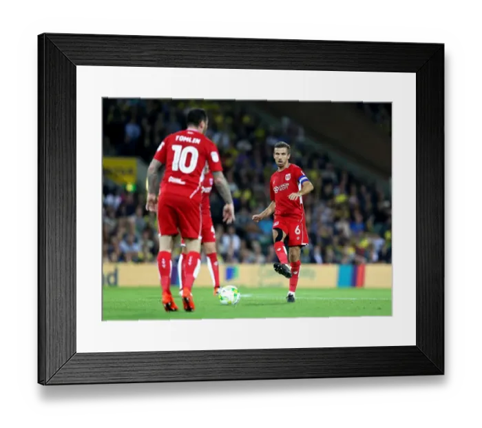 Framed Print : Bristol City's Gary O'Neil and Lee Tomlin in Action against Norwich City, Sky Bet Championship 2016 Framed Print : Bristol City's Gary O'Neil and Lee Tomlin in Action against Norwich City, Sky Bet Championship 2016