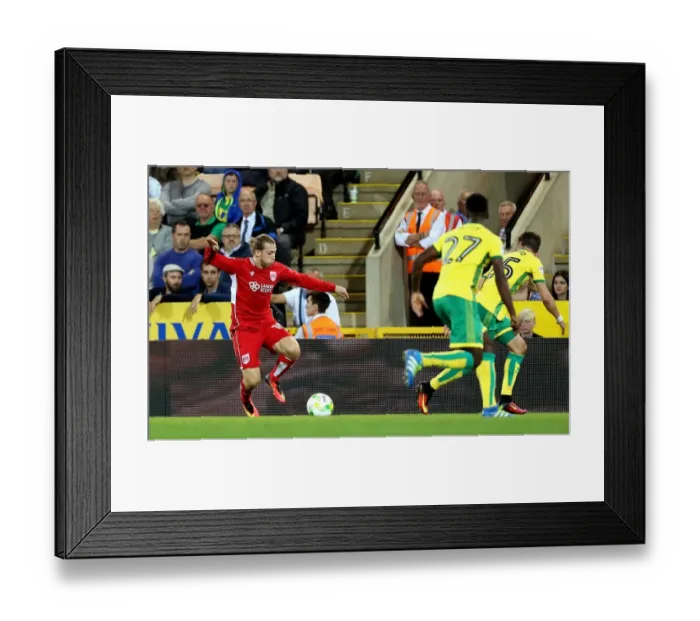 Framed Print : Bristol City's Luke Freeman Scores Past Norwich City Goalkeeper in Championship Clash Framed Print : Bristol City's Luke Freeman Scores Past Norwich City Goalkeeper in Championship Clash