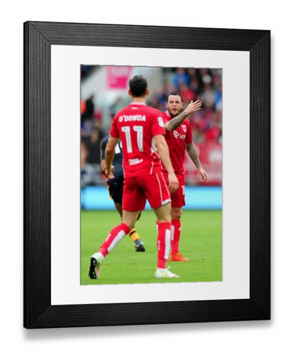 Framed Print : Bristol City's Lee Tomlin Displays Frustration Against Newcastle United, 2016
