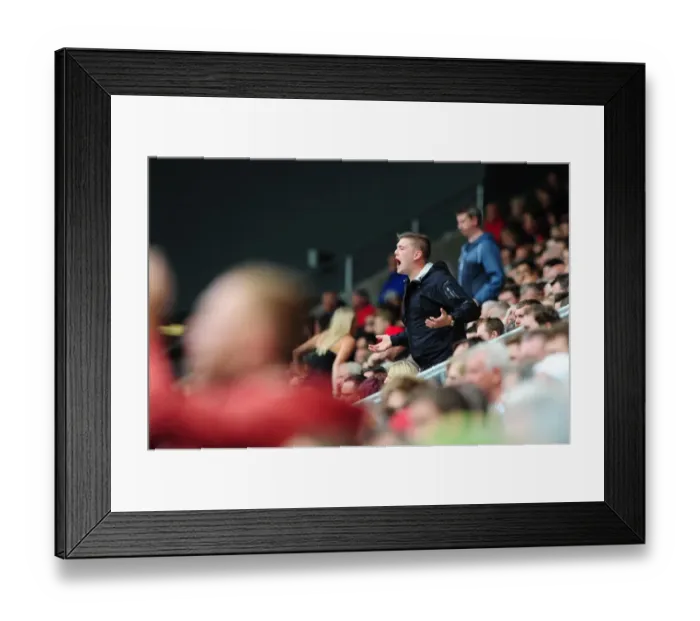 Framed Print : Reigniting the Rivalry: Bristol City vs Newcastle United at Ashton Gate (August 2016) Framed Print : Reigniting the Rivalry: Bristol City vs Newcastle United at Ashton Gate (August 2016)