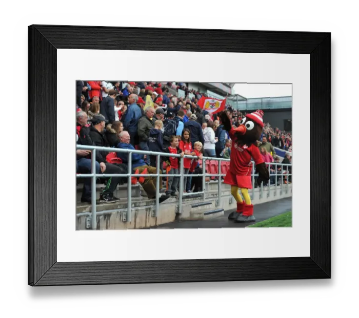 Framed Print : Bristol City's Mascot Scrumpy Entertains Fans in the Lansdown Stand during Bristol City vs Newcastle United (2016)