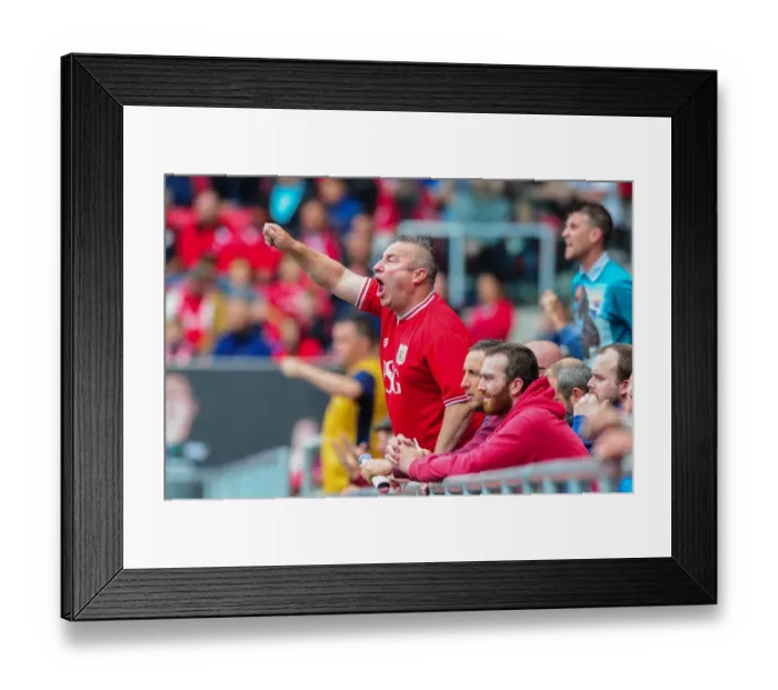 Framed Print : Reigniting Rivalries: Bristol City vs Newcastle United at Ashton Gate (August 2016) Framed Print : Reigniting Rivalries: Bristol City vs Newcastle United at Ashton Gate (August 2016)